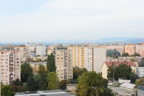 Első fogadóóráját tartja Patik Ferenc önkormányzati képviselő a Vízivárosban